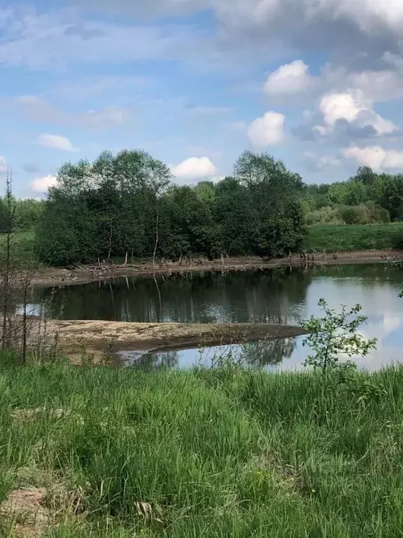 Участок в Владимирская область, Александровский район, Андреевское ... - Фото 1
