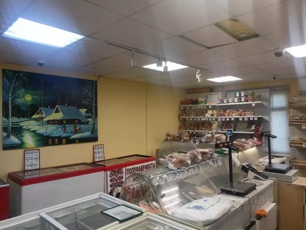 Помещение свободного назначения в Мордовия, Саранск ул. Ворошилова, 2 ... - Фото 2