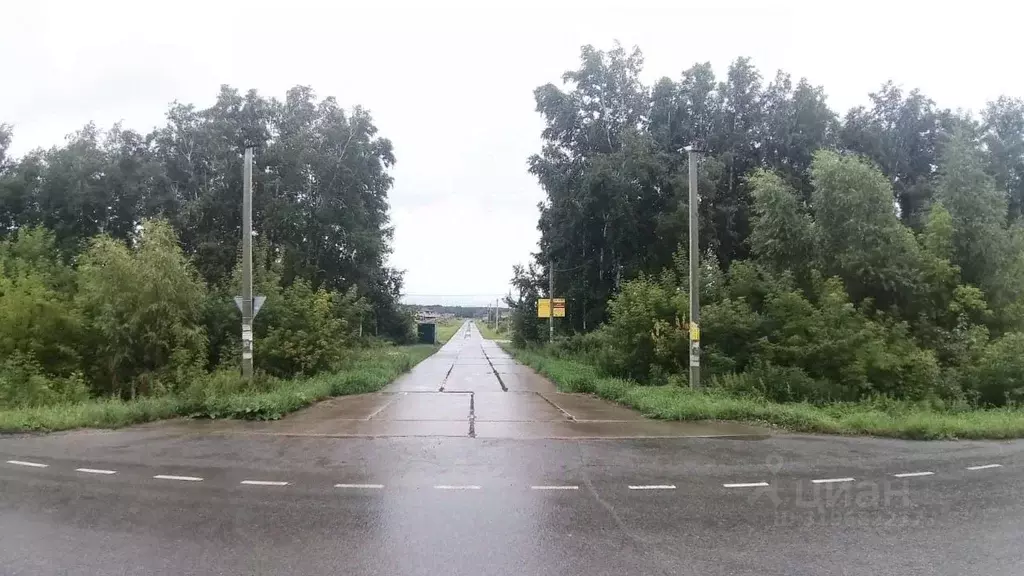 Участок в Омская область, Омский район, Пушкинское с/пос, Пушкинский ... - Фото 1