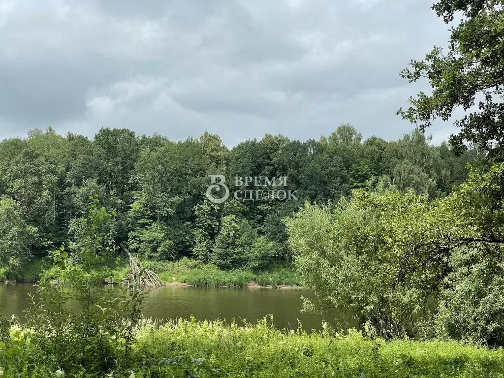 Участок в Владимирская область, Камешковский муниципальный округ, д. ... - Фото 2