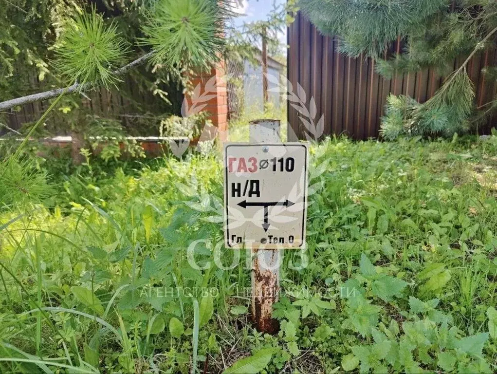 Участок в Калужская область, Жуковский район, Тростье с/пос, д. ... - Фото 2