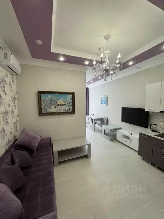 1-к кв. Краснодарский край, Сочи ул. Молокова, 1 (35.9 м) - Фото 1