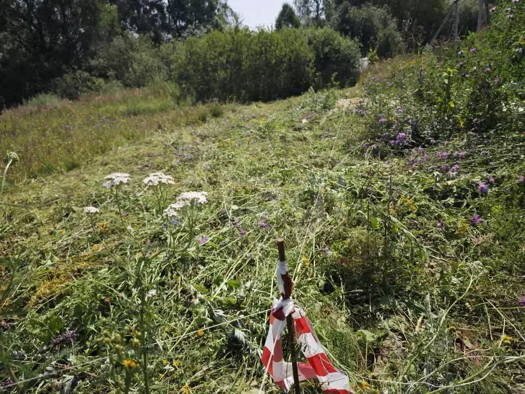 Участок, 5 сот., поселения (ижс) - Фото 1