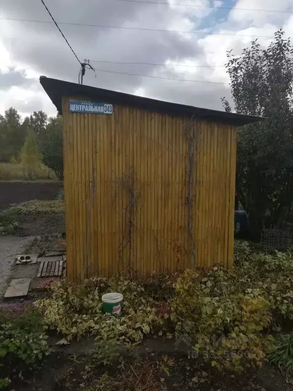 Участок в Новосибирская область, Коченевский район, Светлана ДНТ  (6.0 ... - Фото 2