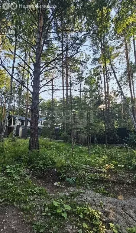 Участок в деревня Кузнецово, Серебристая улица (22.5 м) - Фото 1