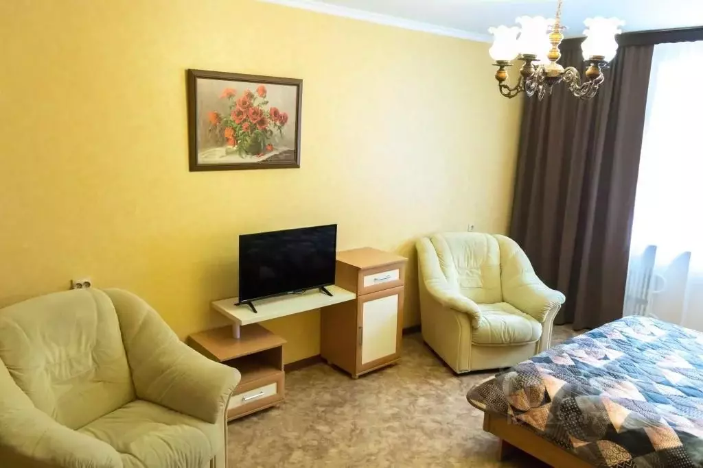 1-к кв. Воронежская область, Воронеж ул. Антонова-Овсеенко, 31а (43.0 ... - Фото 2