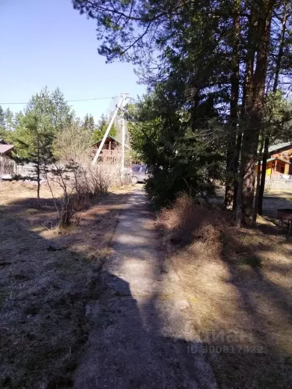 Дом в Тверская область, Осташковский муниципальный округ, д. Панюки  ... - Фото 2