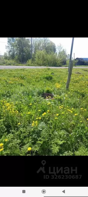 Участок в Башкортостан, Калтасинский район, Калегинский сельсовет, д. ... - Фото 1