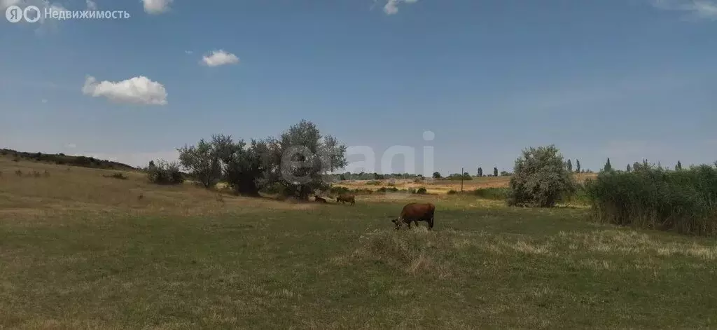 Участок в Первомайское сельское поселение, село Ключевое, Подгорная ... - Фото 2