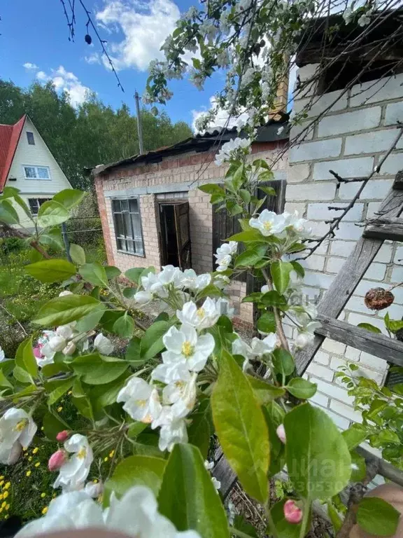 Дом в Челябинская область, Копейск Дзержинец СНТ, ул. 28-я (32 м) - Фото 1