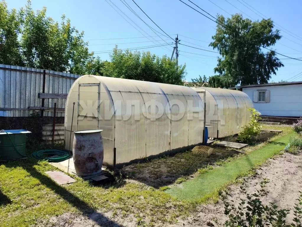 Дом в Новосибирская область, Новосибирск Ложок садовое товарищество,  ... - Фото 1