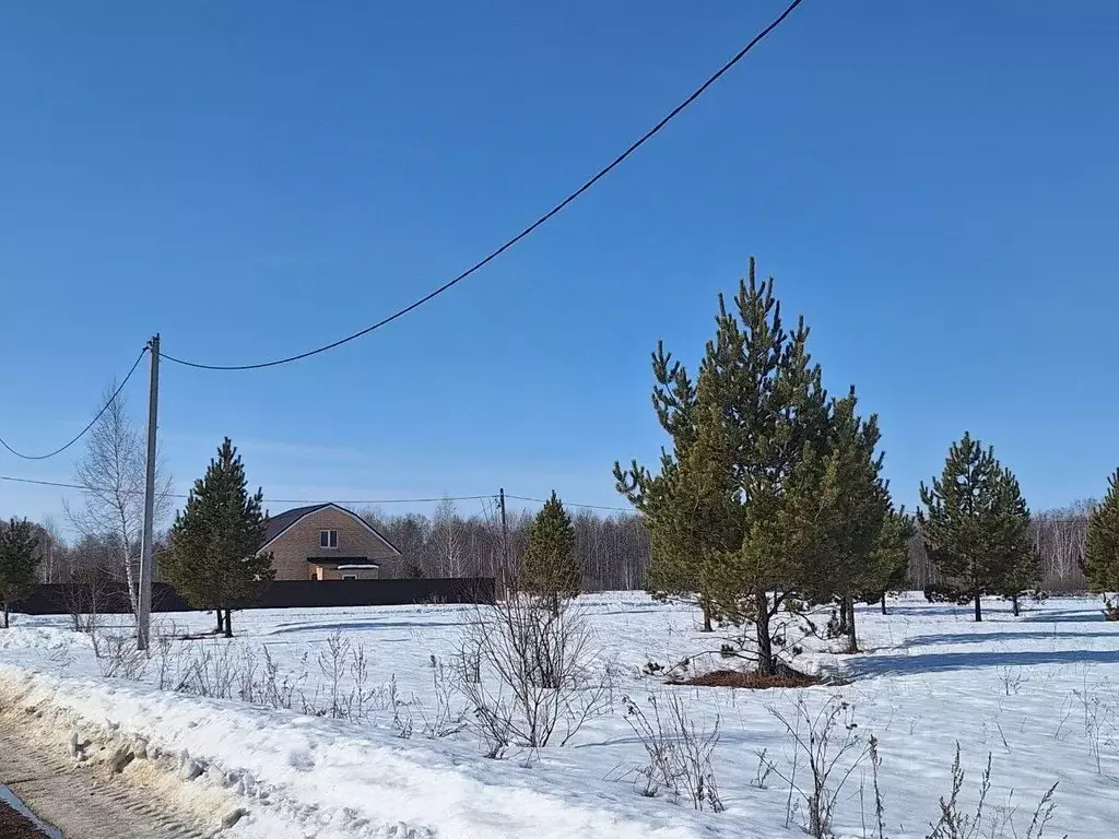 Участок в Челябинская область, Сосновский муниципальный округ, д. ... - Фото 2