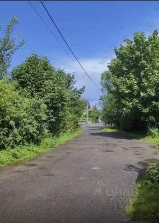 Участок в Калининградская область, Калининград Победа садовое ... - Фото 1