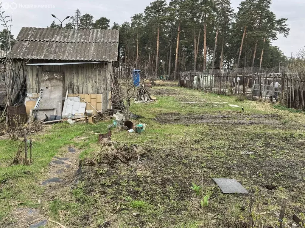 Участок в Брянск, садоводческое некоммерческое товарищество Больничный ... - Фото 2