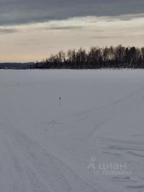 Участок в Новгородская область, Демянский муниципальный округ, д. ... - Фото 2