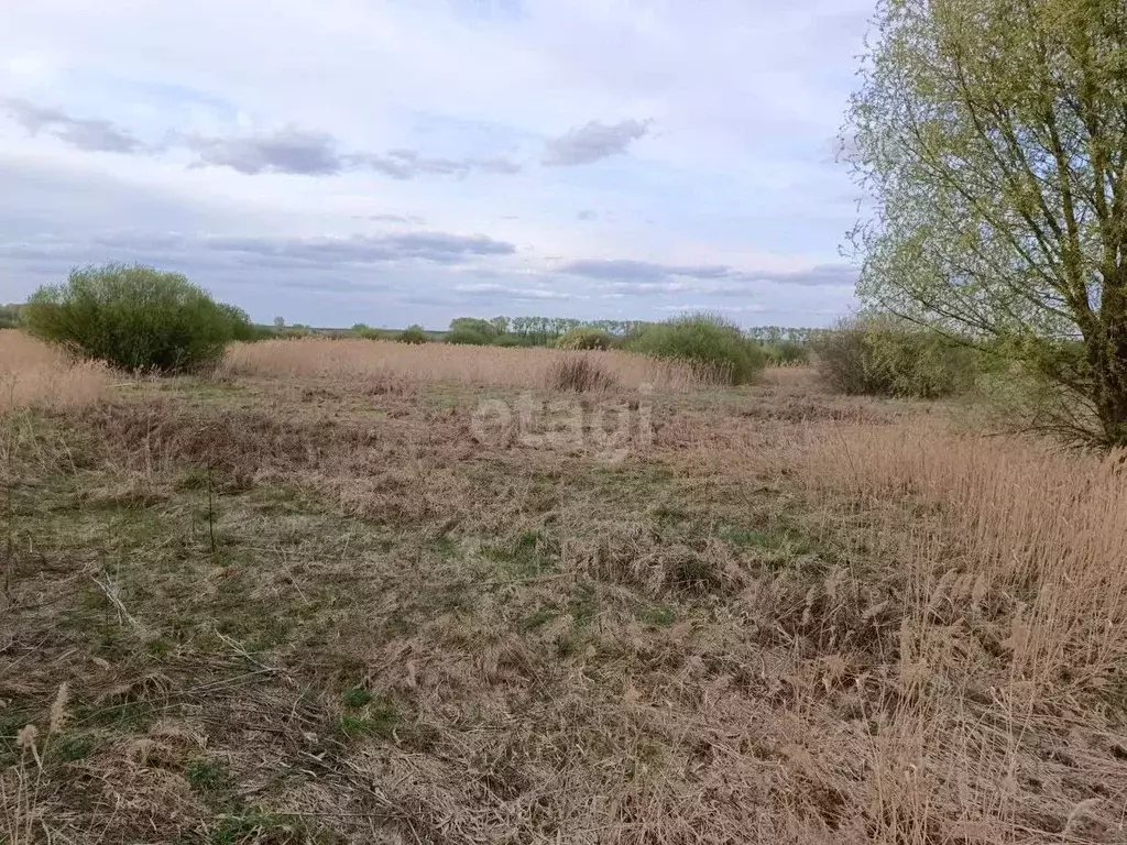 Участок в Воронежская область, с. Новая Усмань, Пчелка мкр ул. Садовая ... - Фото 0