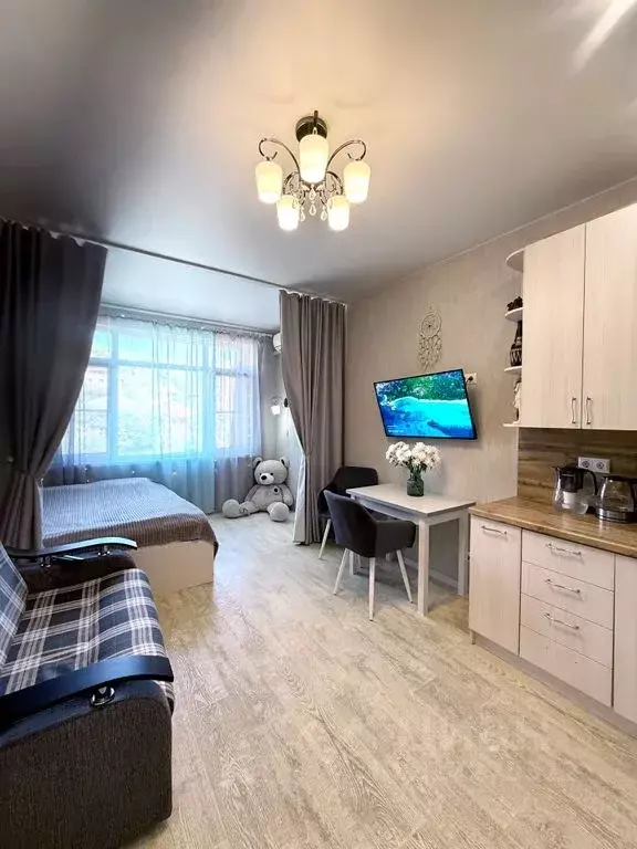 Студия Краснодарский край, Сочи Бакинская ул., 34/1 (28.0 м) - Фото 0