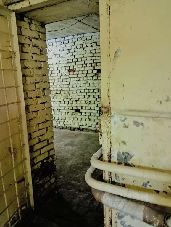 Помещение свободного назначения в Удмуртия, Ижевск ул. Ленина, 17 (203 ... - Фото 1