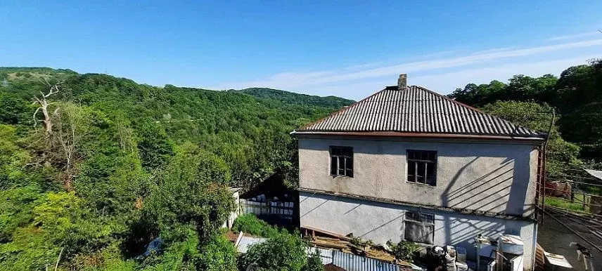 Участок в Краснодарский край, Сочи ул. Ольховая (31.0 сот.) - Фото 2