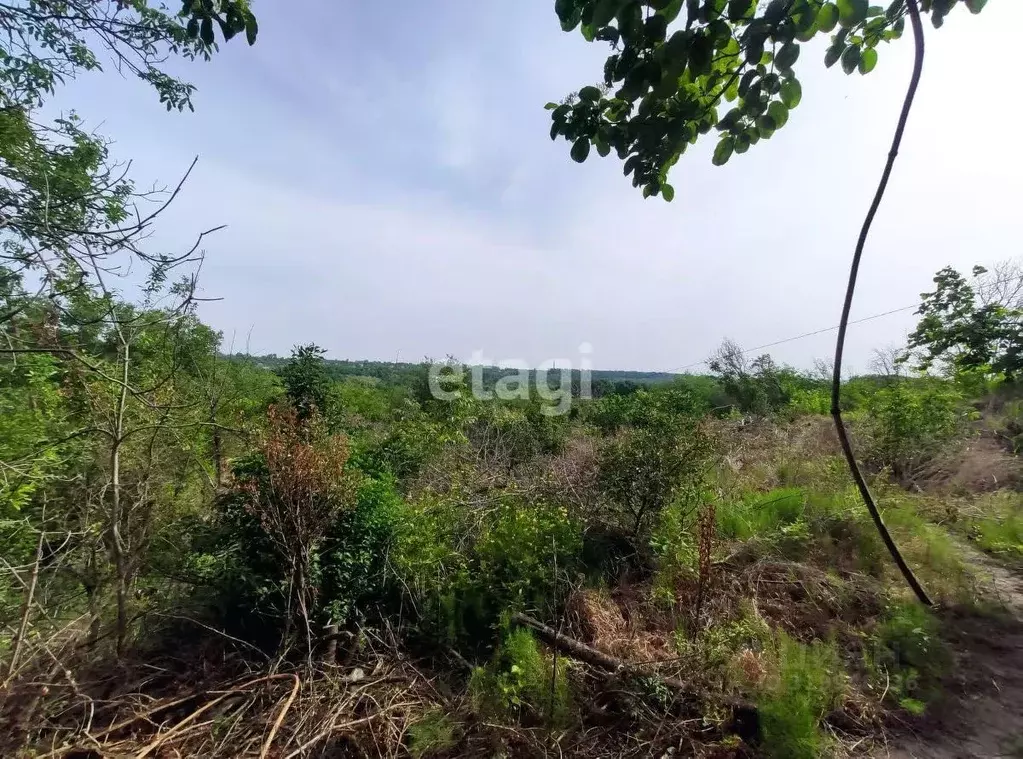 Участок в Ставропольский край, Ставрополь Калинка ДНТ,  (7.3 сот.) - Фото 1