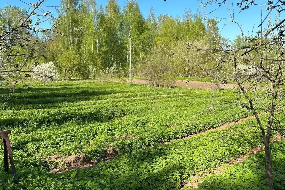 Участок в Северная Осетия, Владикавказ Весна садоводческое ... - Фото 1