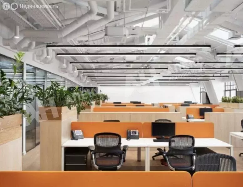 Офис (1015 м) - Фото 2