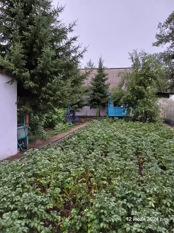 Дом в Забайкальский край, Чита № 6 Заимка СНТ, 66 (50 м) - Фото 0