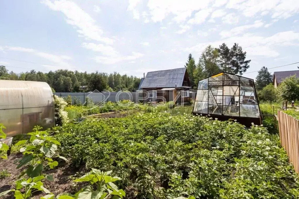 Дом в Тюменская область, Тюменский район, Лесник-2 СНТ ул. ... - Фото 1