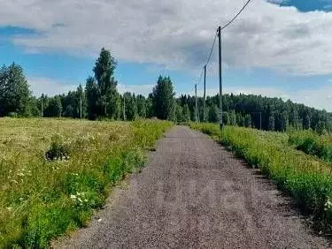 Участок в Московская область, Дмитровский городской округ, д. Сбоево  ... - Фото 1