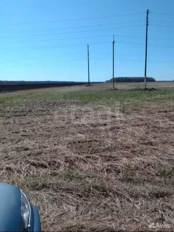 Участок в Свердловская область, Талицкий муниципальный округ, с. ... - Фото 2