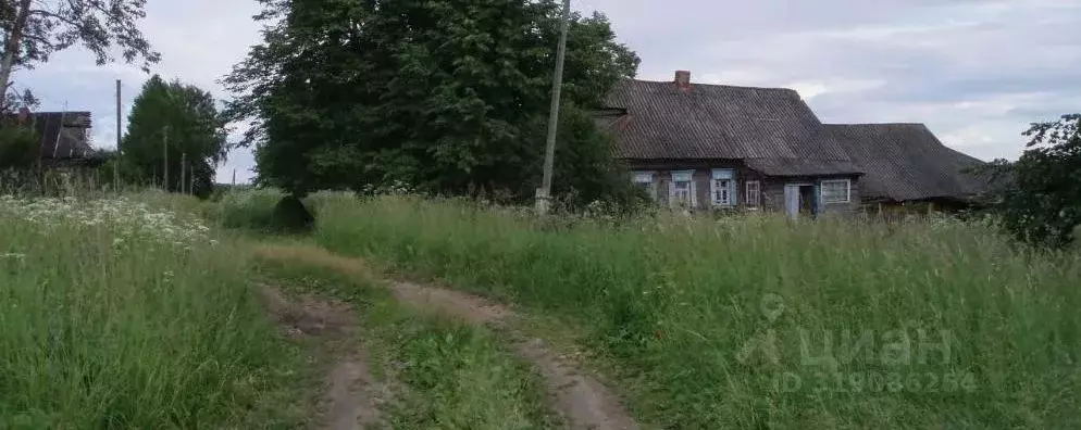 Участок в Ярославская область, Первомайский муниципальный округ, ... - Фото 0