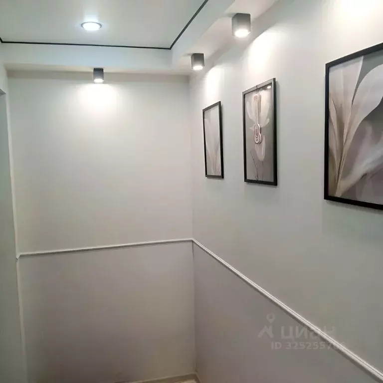 1-к кв. Саратовская область, Энгельс ул. Ломоносова, 22 (34.0 м) - Фото 2