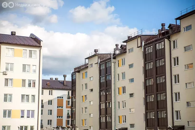 1-комнатная квартира: Боровский, улица Мира, 29 (46.1 м) - Фото 1