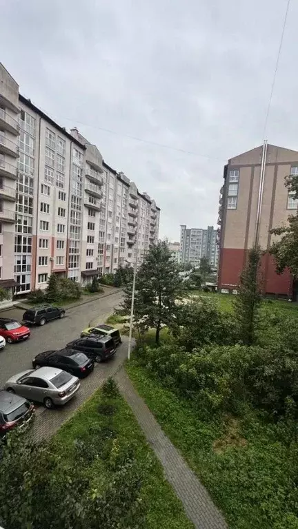 2-к кв. Калининградская область, Калининград ул. Юрия Гагарина, 55Б ... - Фото 2