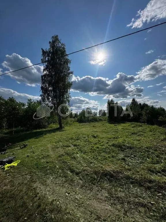 Участок в Тюменская область, Тюменский район, Фазенда СНТ  (9.65 сот.) - Фото 1