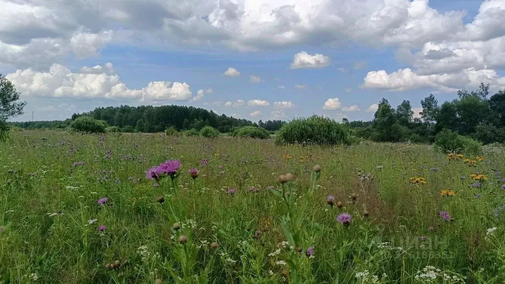Участок в Московская область, Можайский муниципальный округ, д. ... - Фото 2