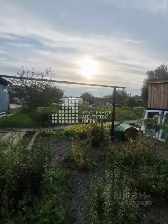 Участок в Ханты-Мансийский АО, Ханты-Мансийск ул. Рознина (5.0 сот.) - Фото 1