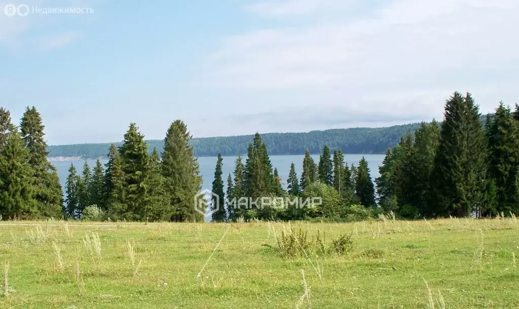 Участок в Пермский край, Кунгурский муниципальный округ, село Насадка ... - Фото 2