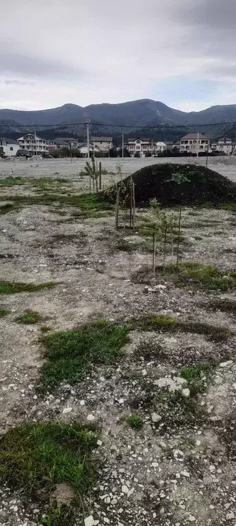 Участок в Краснодарский край, Геленджик городской округ, с. Кабардинка ... - Фото 1