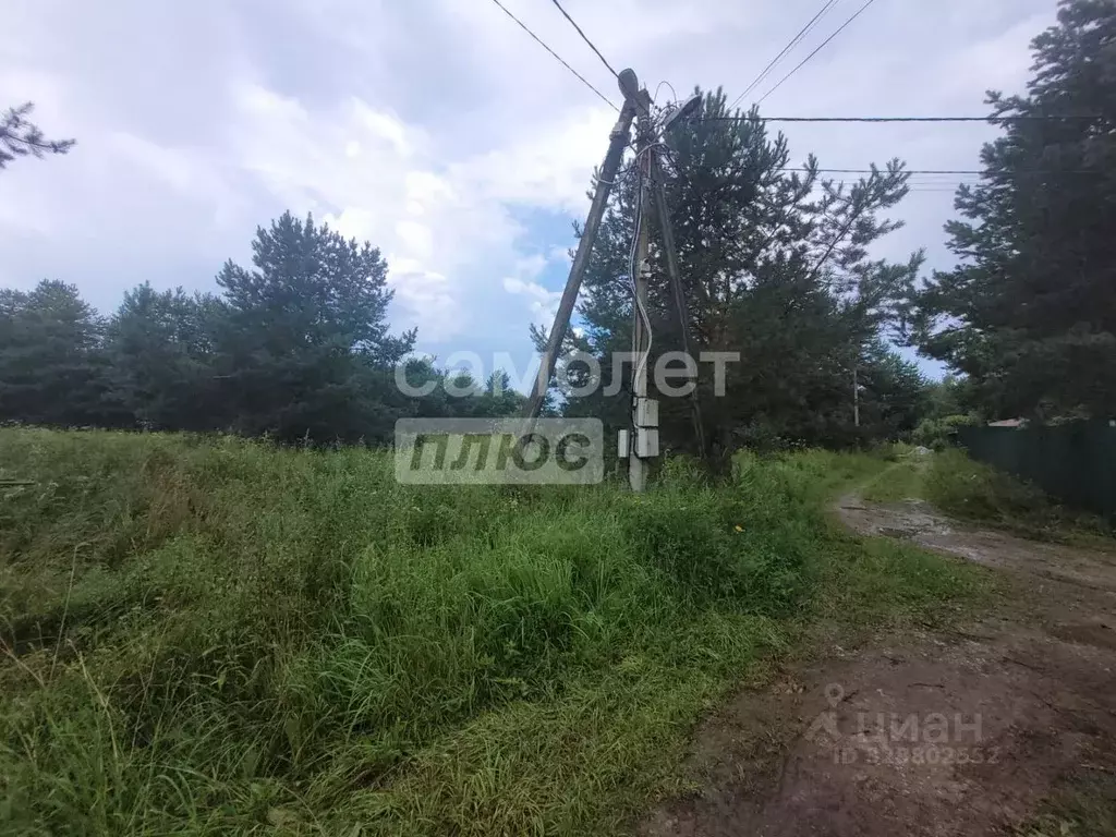 Участок в Калужская область, Дзержинский муниципальный округ, Дворцы ... - Фото 1