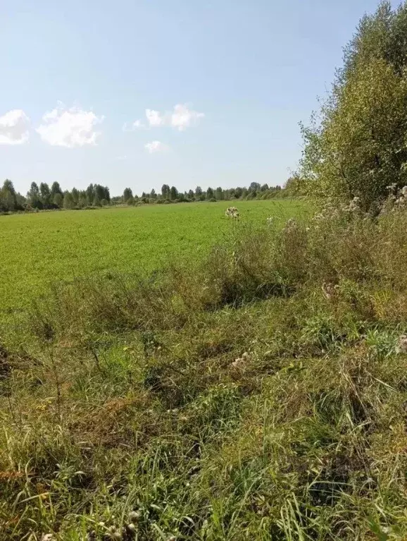 Участок в Кемеровская область, Новокузнецкий муниципальный округ, пос. ... - Фото 1