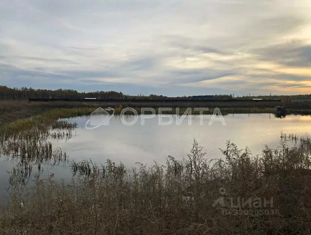 Участок в Тюменская область, Нижнетавдинский район, Здоровье-3 СТ ул. ... - Фото 1