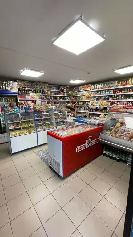 Торговая площадь в Севастополь ул. Хрусталева, 83 (39 м) - Фото 2