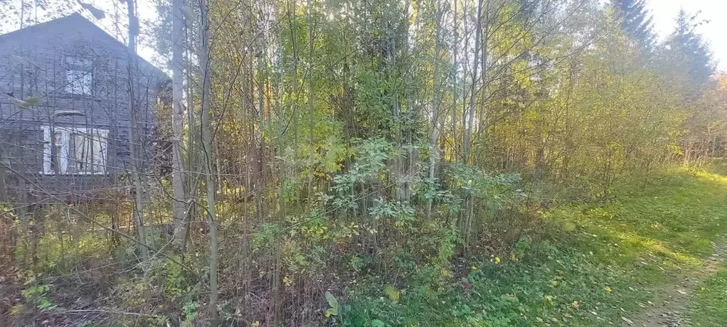 Участок в Коми, Сыктывдинский район, Выльгорт муниципальное ... - Фото 1