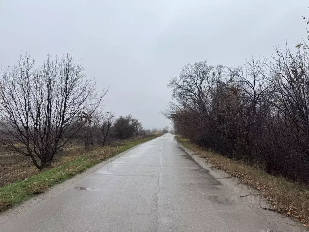 Участок в Волгоградская область, Среднеахтубинский район, Куйбышевское ... - Фото 1