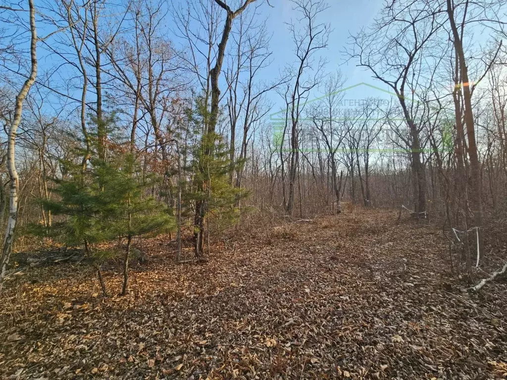 Участок в Приморский край, Владивосток ул. Лесопитомник, 3А (7.16 ... - Фото 1