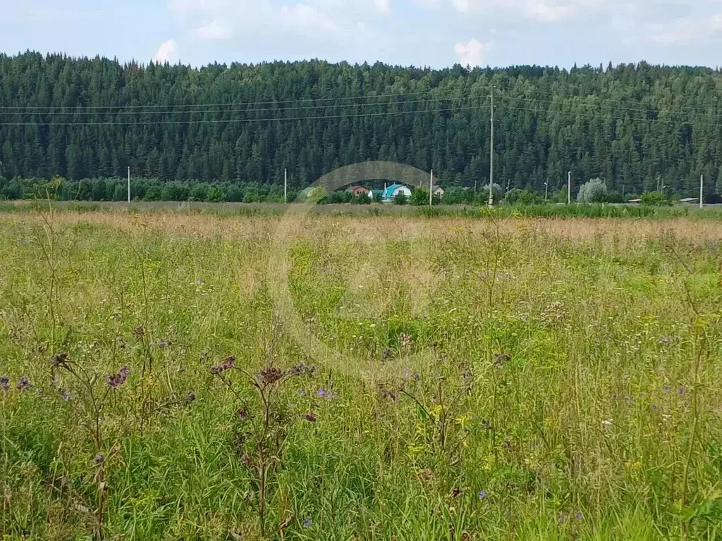 Участок в Пермский край, Суксунский муниципальный округ, д. Тохтарево  ... - Фото 2