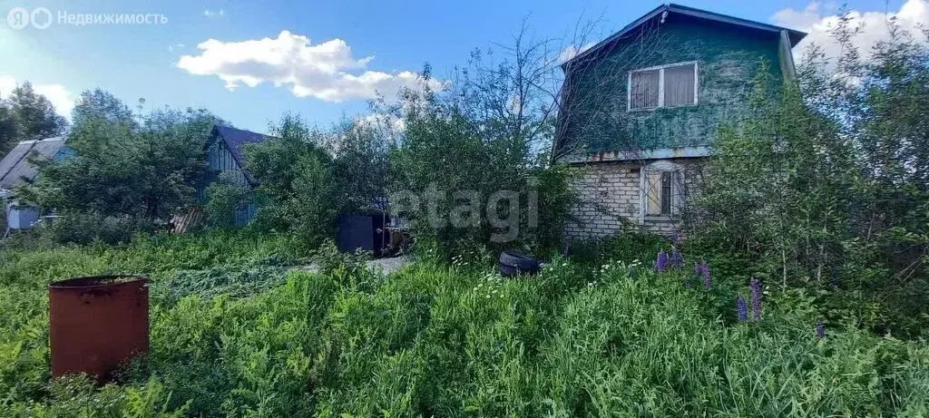 Участок в Отрадовский сельсовет, СНТ Незабудка (3.9 м) - Фото 1