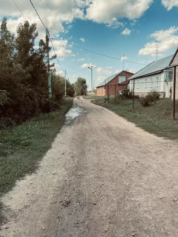 Участок в Самарская область, Нефтегорский район, с. Утевка Береговая ... - Фото 1