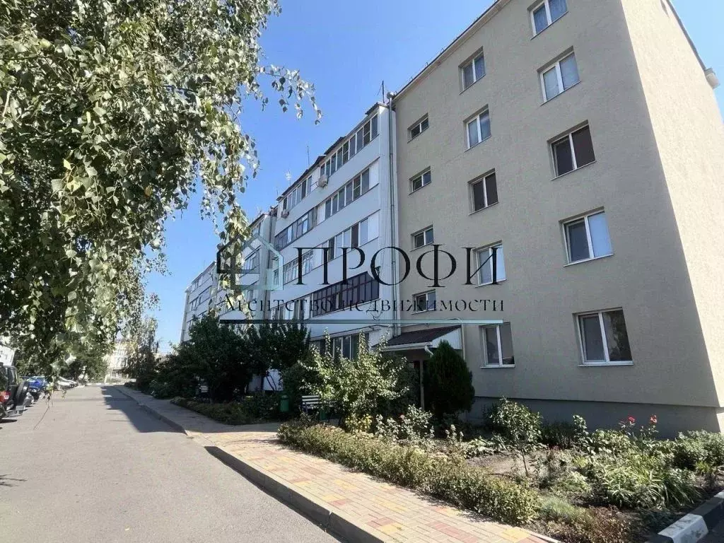 1-к кв. Белгородская область, Поселок Чернянка городское поселение, ... - Фото 1